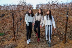 women in vineyard