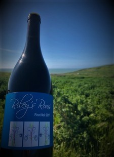 Riley's Rows 2018 Pinot Noir