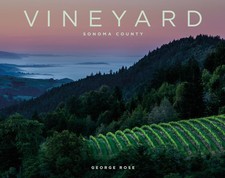 VINEYARD Sonoma County by George Rose